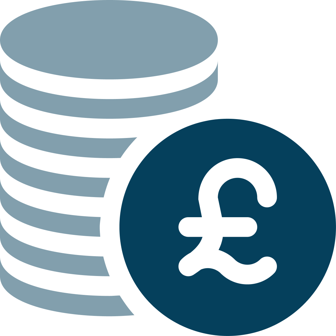 Navy Money Icon